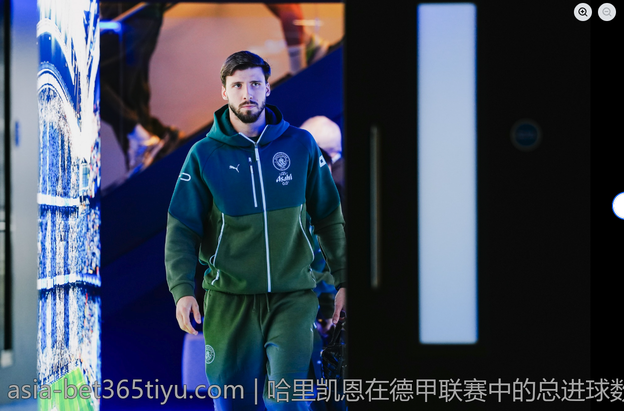 哈里凯恩在德甲联赛中的总进球数分析